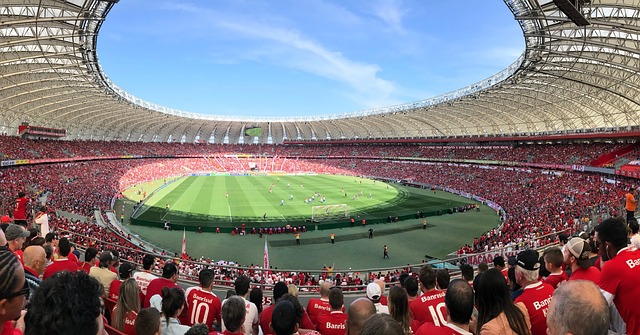 国际上对中