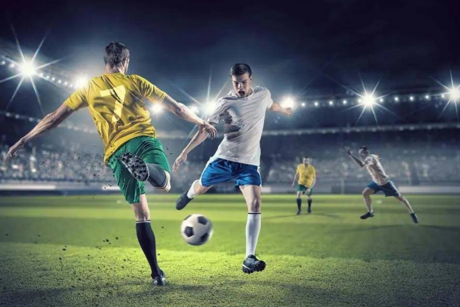 这些作品不 这些作品不