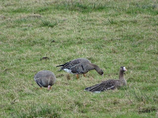 影響力助推 影響力助推